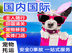 白云航空空运国际宠物托运 【国